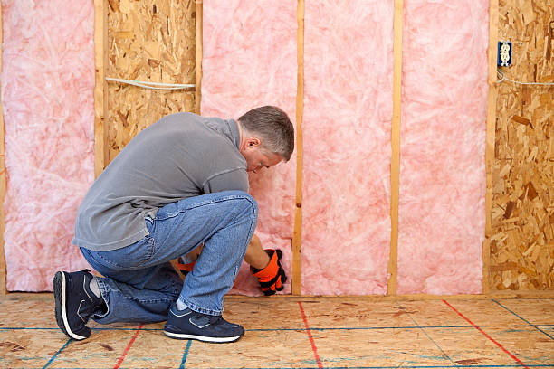 Types of Insulation We Offer in East Foothills, CA